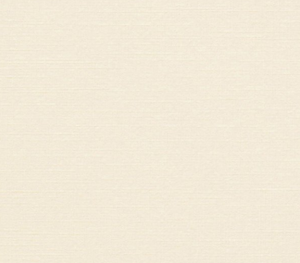 100 feuilles OPALE IVOIRE TOILE 70X100 250G 