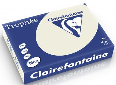 250 feuilles GRIS PERLE 160G A4