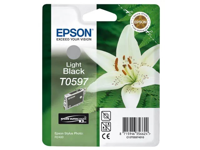 C13T05974010 EPSON - Standard photo R2400 - noir clair