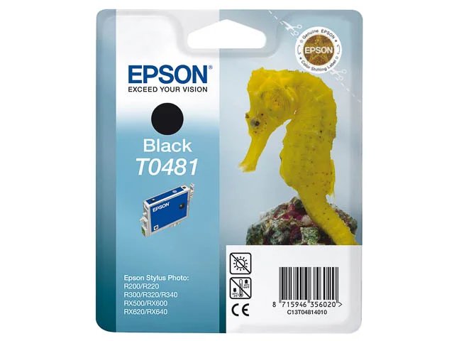 C13T04814010 EPSON - Standard photo R300 - cartouche noire