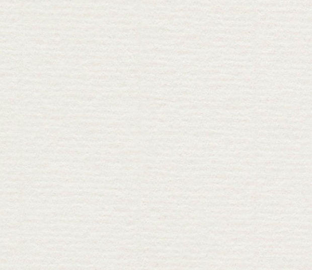 100 feuilles CONQUEROR VERGE BLANC 45X64 300G