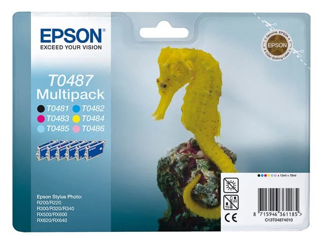 C13T04874010 EPSON - Standard photo R300 - cartouche  (6)