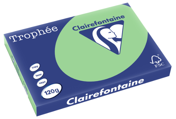 250 feuilles VERT NATURE A3 120G