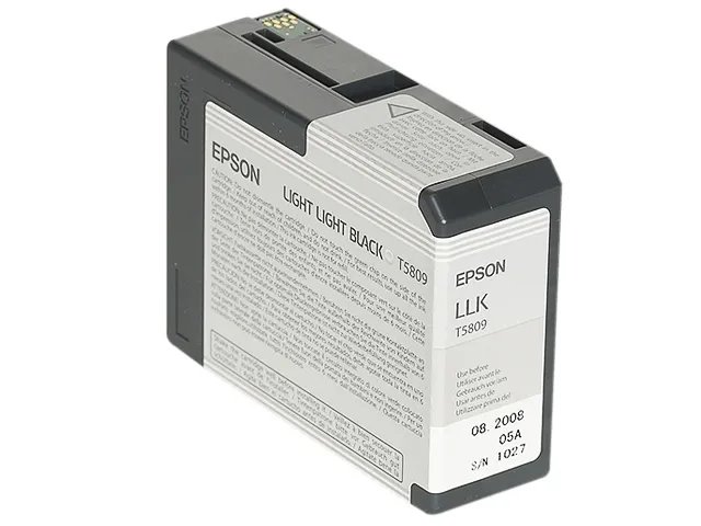 C13T580900 EPSON - StandardPRO3800 - cartouche  noir clair