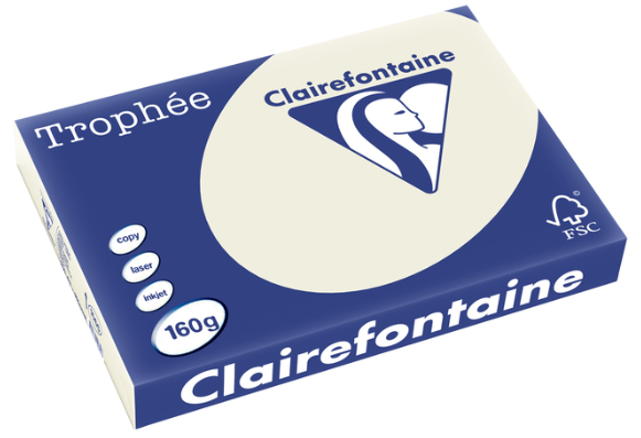 250 feuilles GRIS PERLE 160G A3