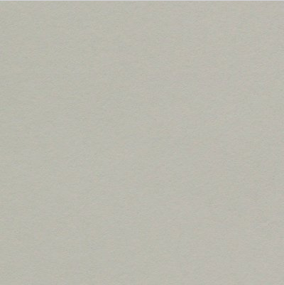 100 feuilles CURIOUS SKIN GREY 270G 70X100