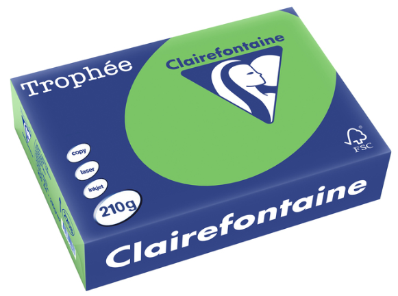 250 feuilles VERT MENTHE 210G A4