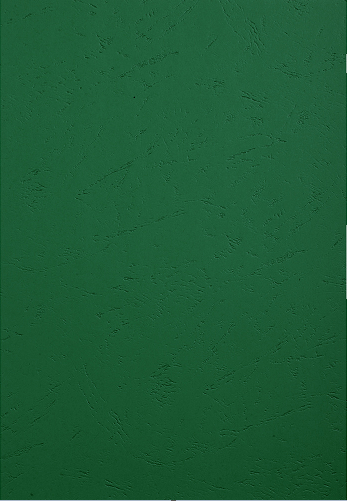 COUVERTURE CARTONNEE GRAIN CUIR VERT FONCE A4 PAQUET 100