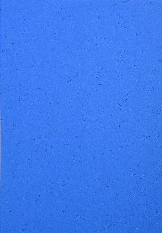 COUVERTURE CARTONNEE GRAIN CUIR BLEU CLAIR A4 PAQUET 100