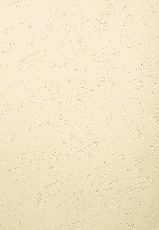 COUVERTURE CARTONNEE GRAIN CUIR IVOIRE A4 PAQUET 100