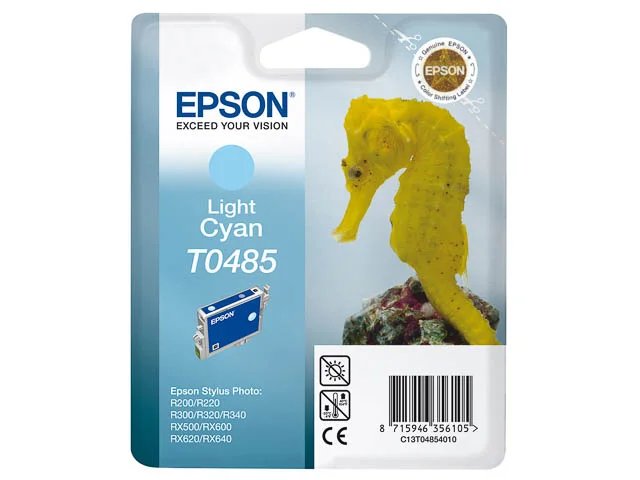 C13T04854010 EPSON - Standard photo R300 - cartouche  cyan clair